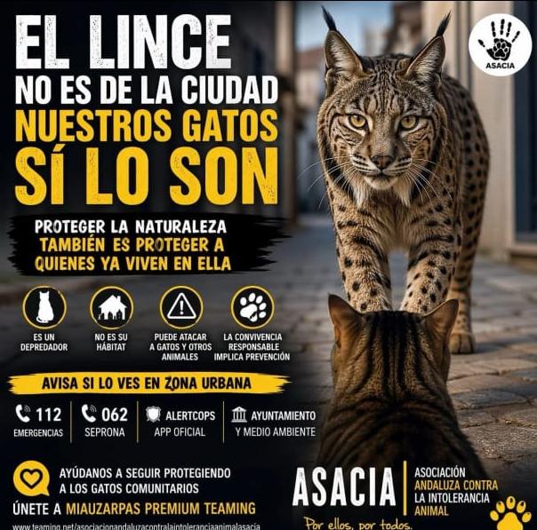 Y llegó el día, amigos. Animalistas hostigando linces (en extinción) para defender gatos ferales.

 Finalmente, el Leviatán se muerde la cola. 

Si tanto les preocupan los gatos ferales, ¿por qué no se los llevan para sus casas?

Menos gatos y más linces.
