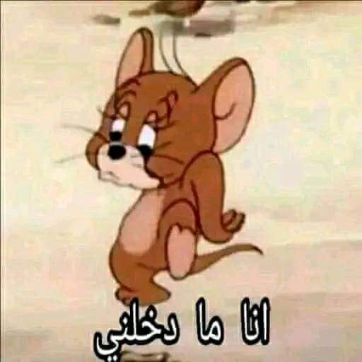 ○••‏. tweet media