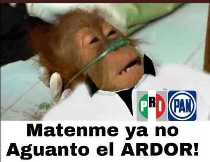 Asael Olmos tweet media
