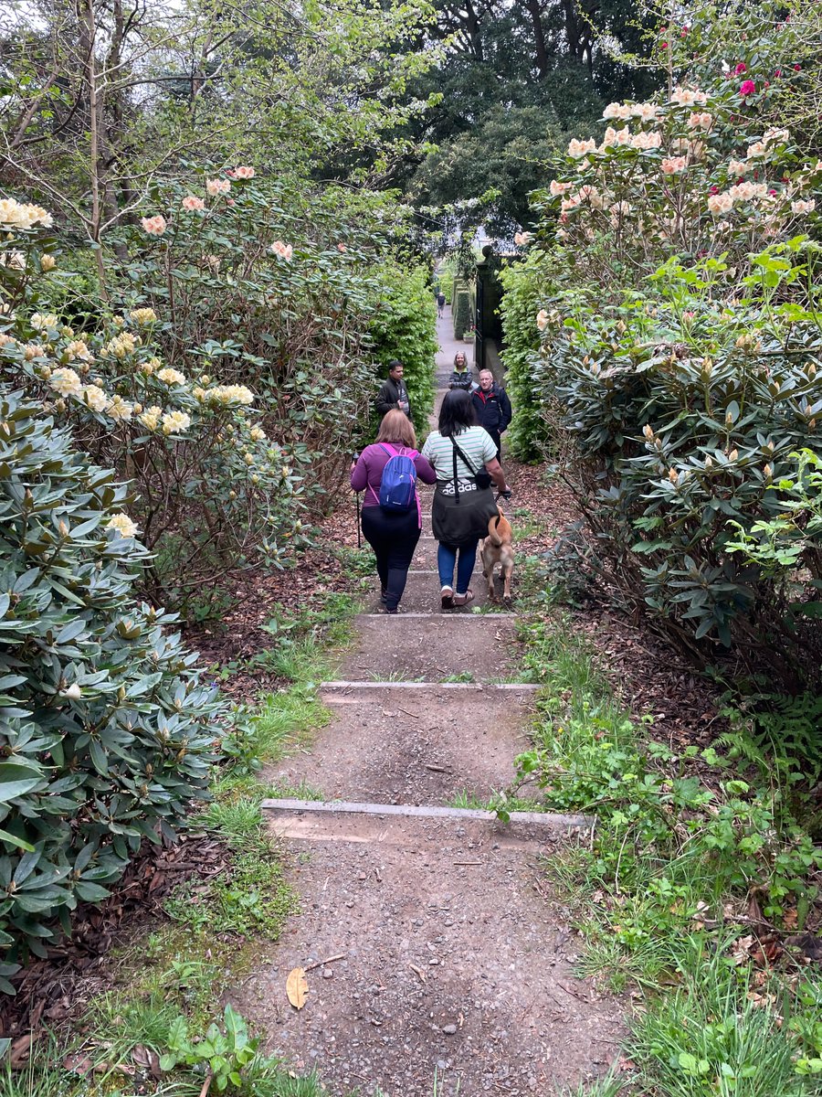 Friends of Pollok Country Park tweet media