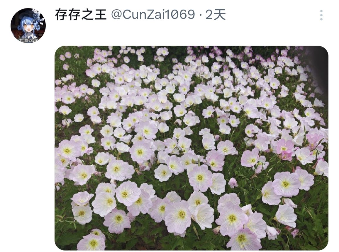 maybe🍥 tweet media