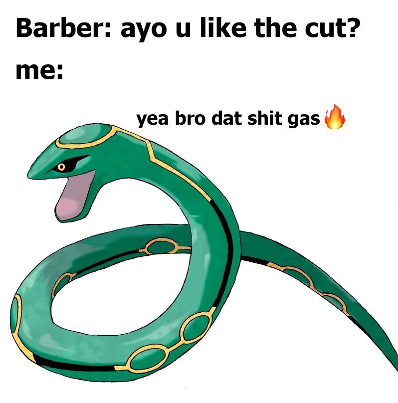 Pokémon Daily tweet media