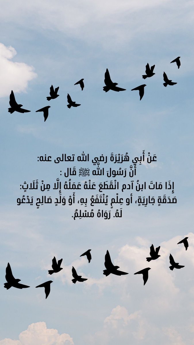 ليلى مبارك tweet media