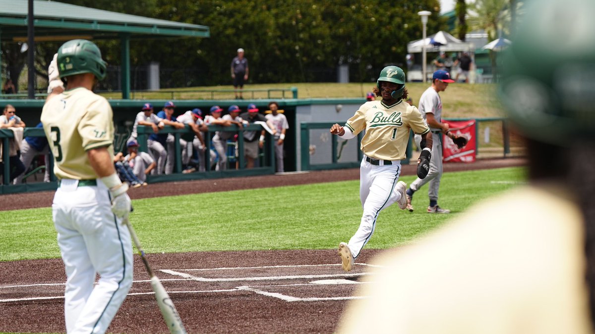 USF Baseball tweet media