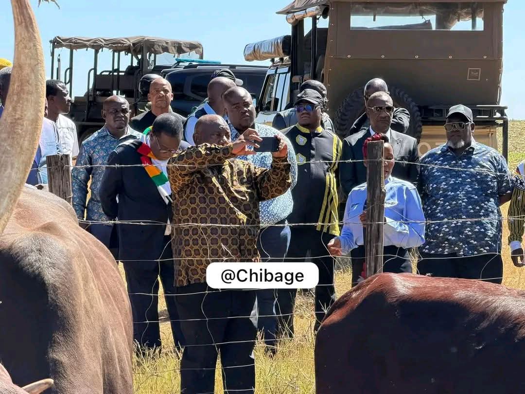 Zimbabwean-Xhosa 🇿🇼 🇲🇿 tweet media