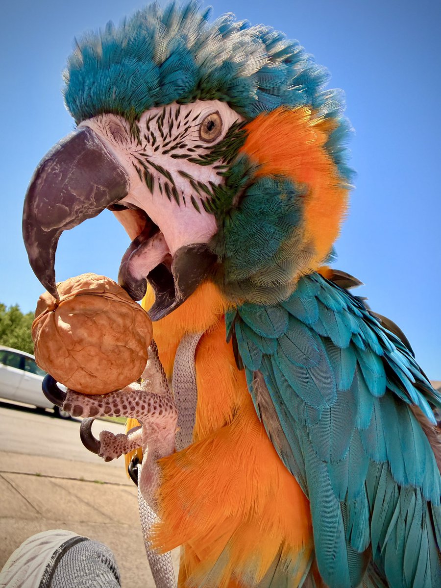 Bird dude tweet media