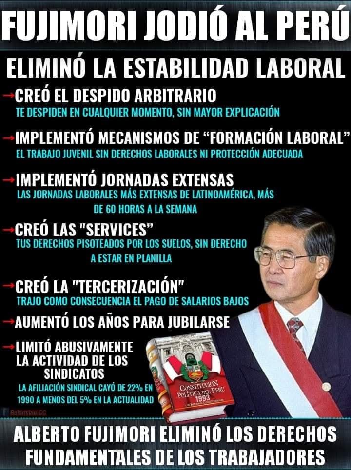 Lucianicoty@gmail.com tweet media
