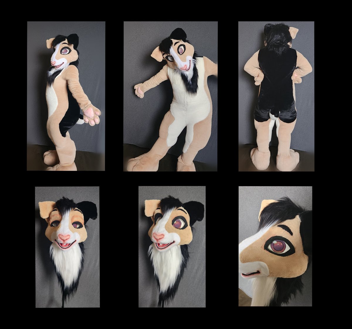 Star_x_Field's tweet photo. So I would normally hate having to ask, but could this PLEASE be böosted to get me out of shadow ban hell?

Commịssịons are open!
Ideally slots for 1 Head, 1 Partial, and 1 Full-Suit. All species welcome. Prịces in rēply. ÐM if ịnterested.

#furry https://t.co/0oT0ZguBXH