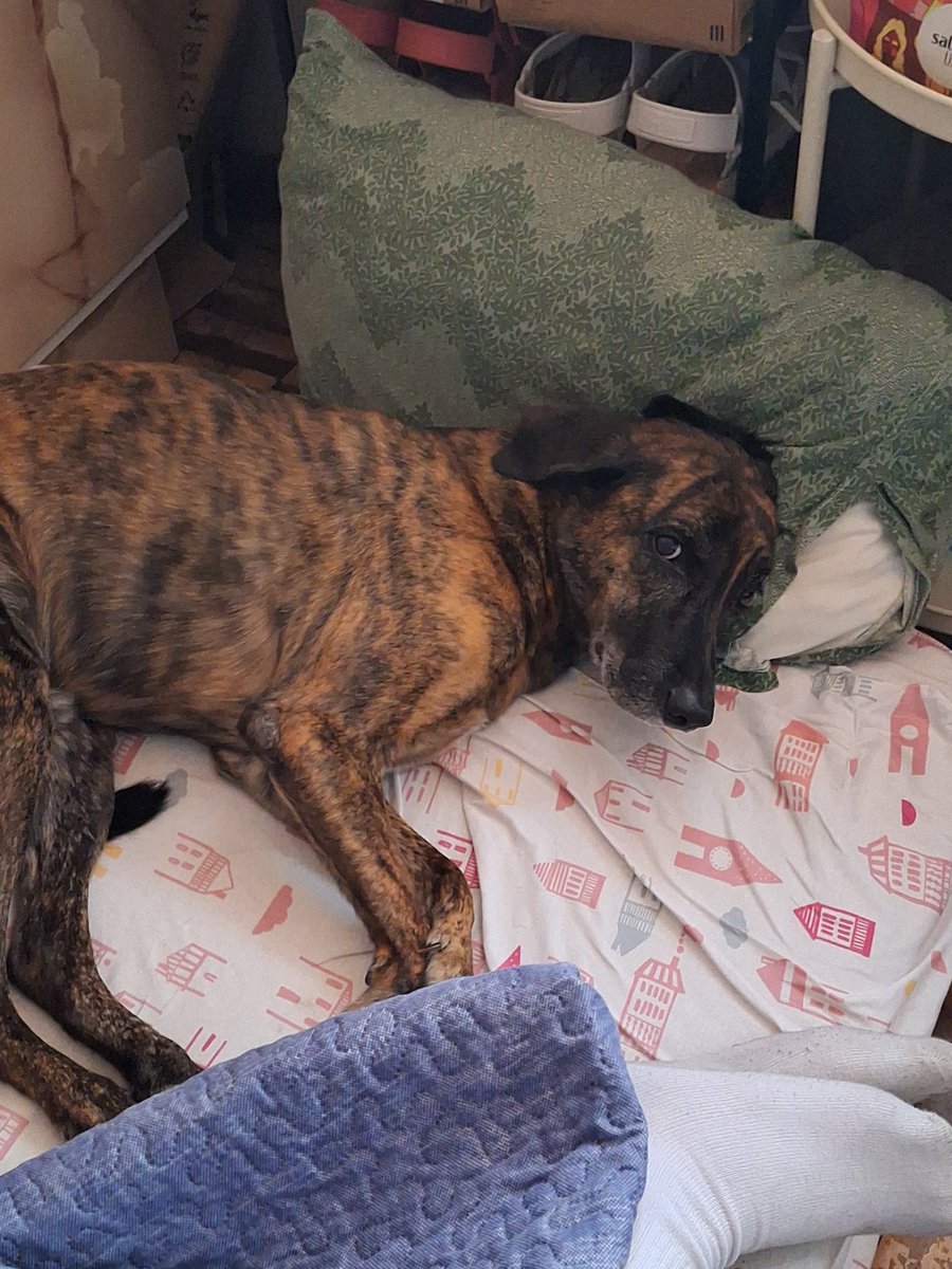 fabi ᡣ𐭩 tweet media