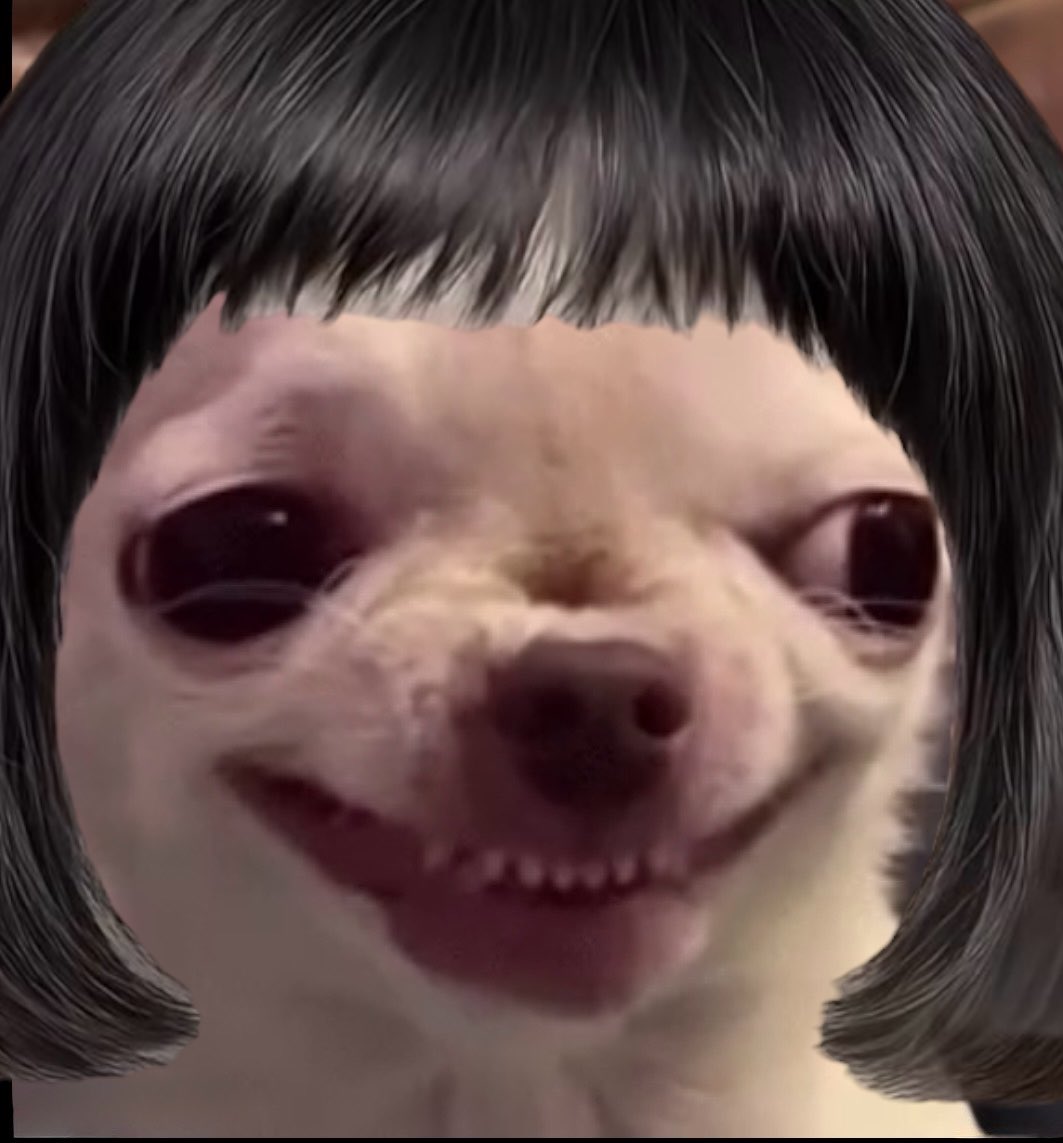 ℂ𝕣𝕪𝕡𝕥𝕠𝔼𝕞𝕡𝕣𝕖𝕤𝕤🤍 tweet media