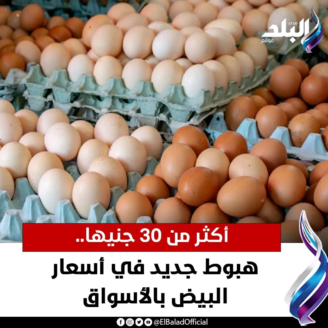 المايسترو ..🇪🇬🦅✊🇪🇬🦅✊🇪🇬🦅💪 tweet media