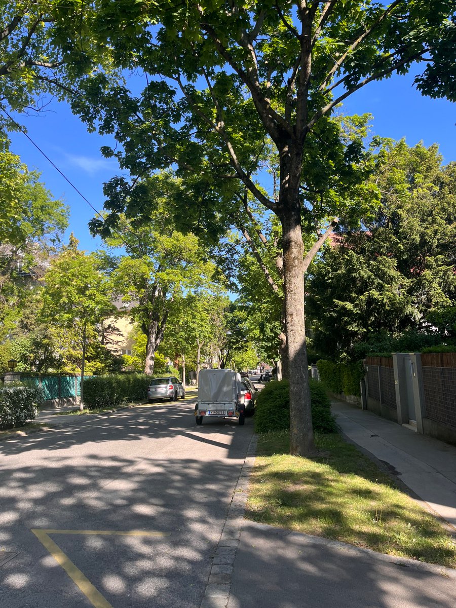 notshortcake's tweet photo. ive started to like going for walks https://t.co/1X7pTWsgmg