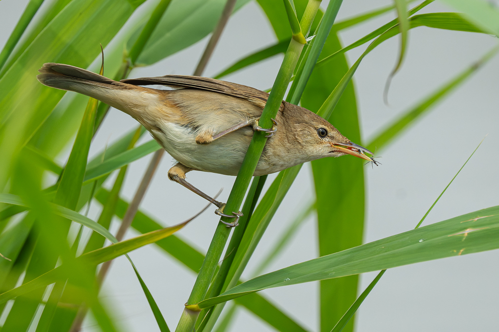 Steve Liptrot Photography tweet media