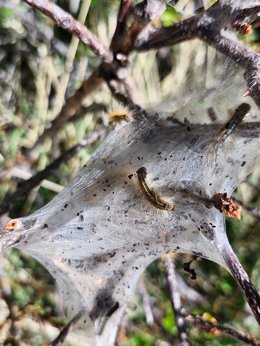 GregLionhart's tweet image. #Cocoon #Hiking #MyPhoto #Photography