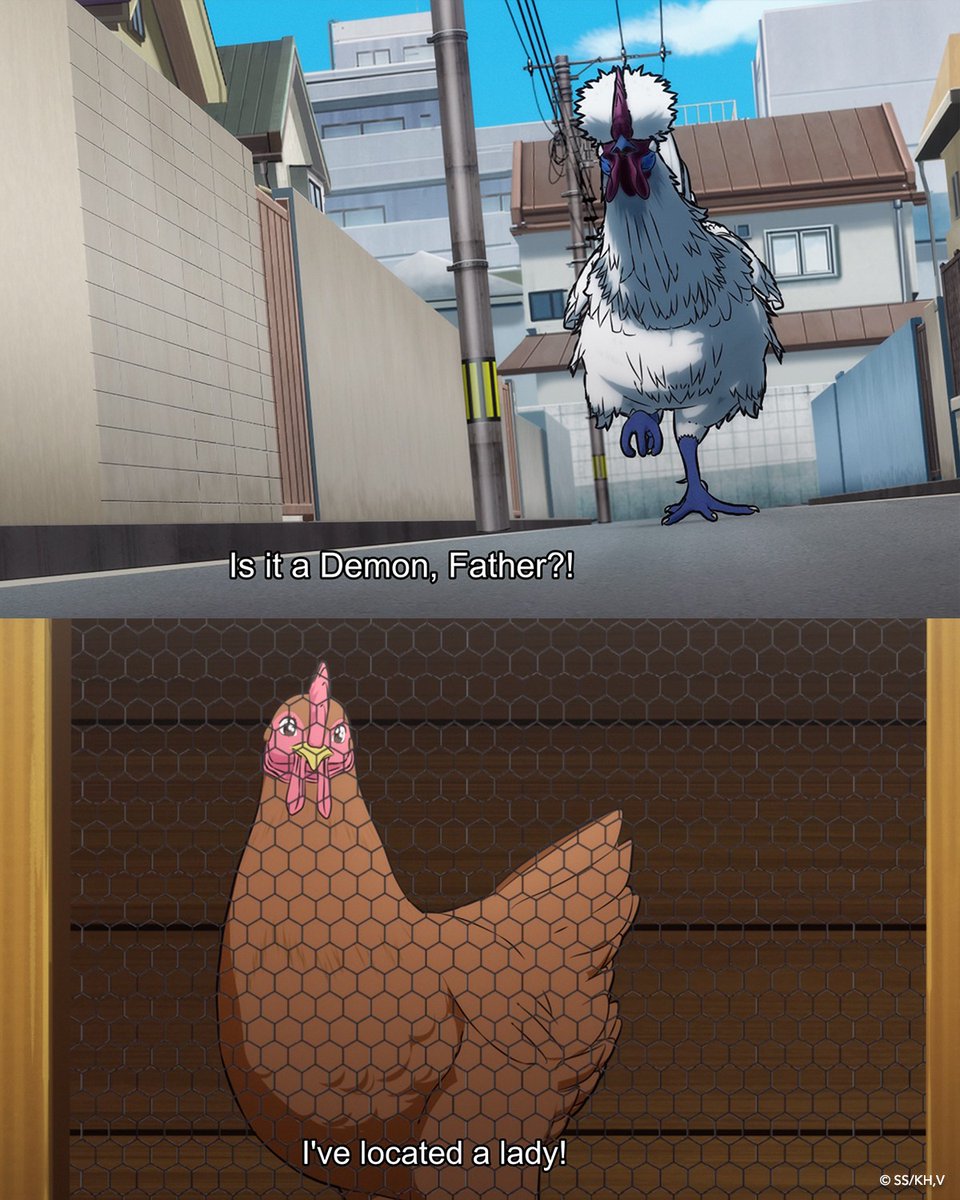 Rooster Fighter tweet media