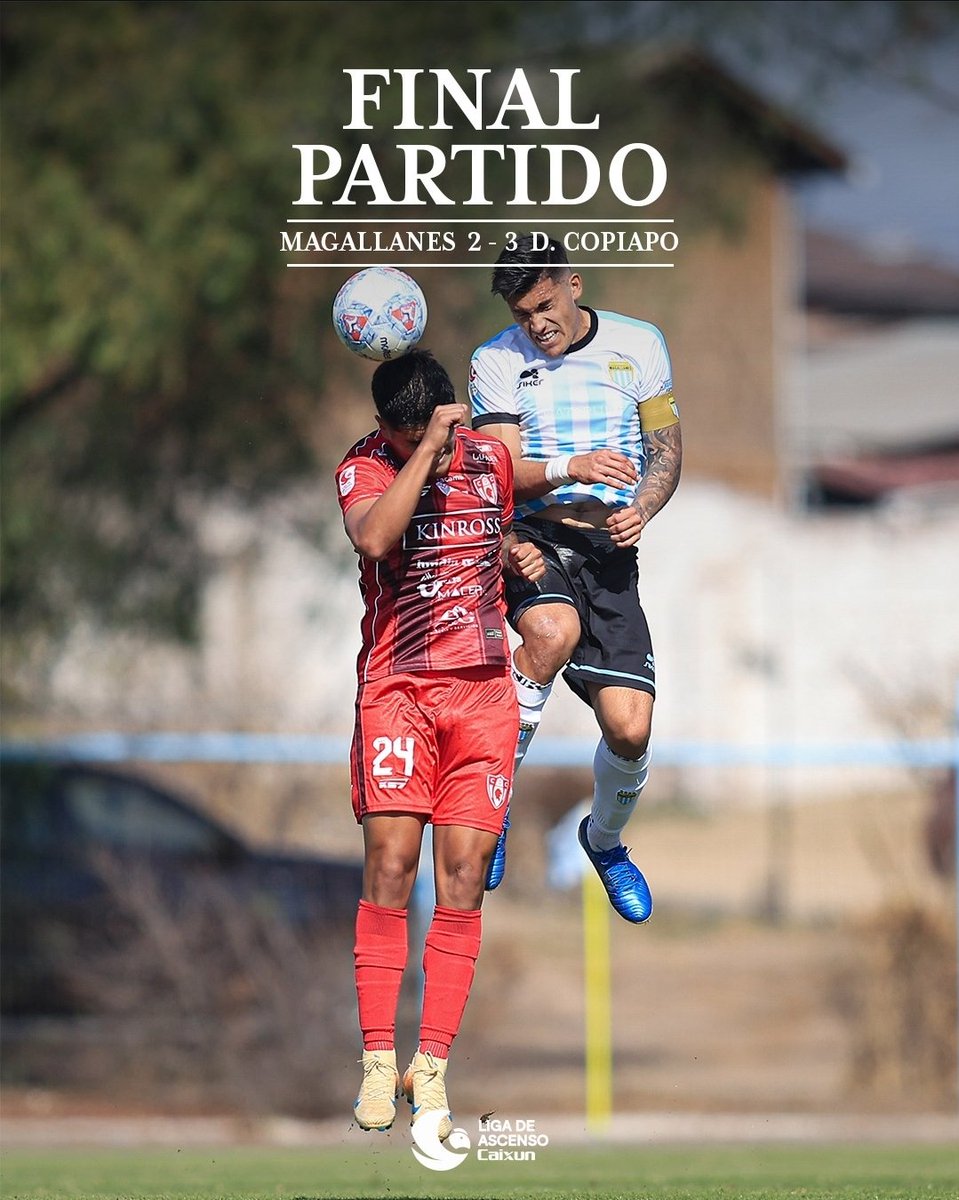 Un hincha de Magallanes 🤍🩵 tweet media