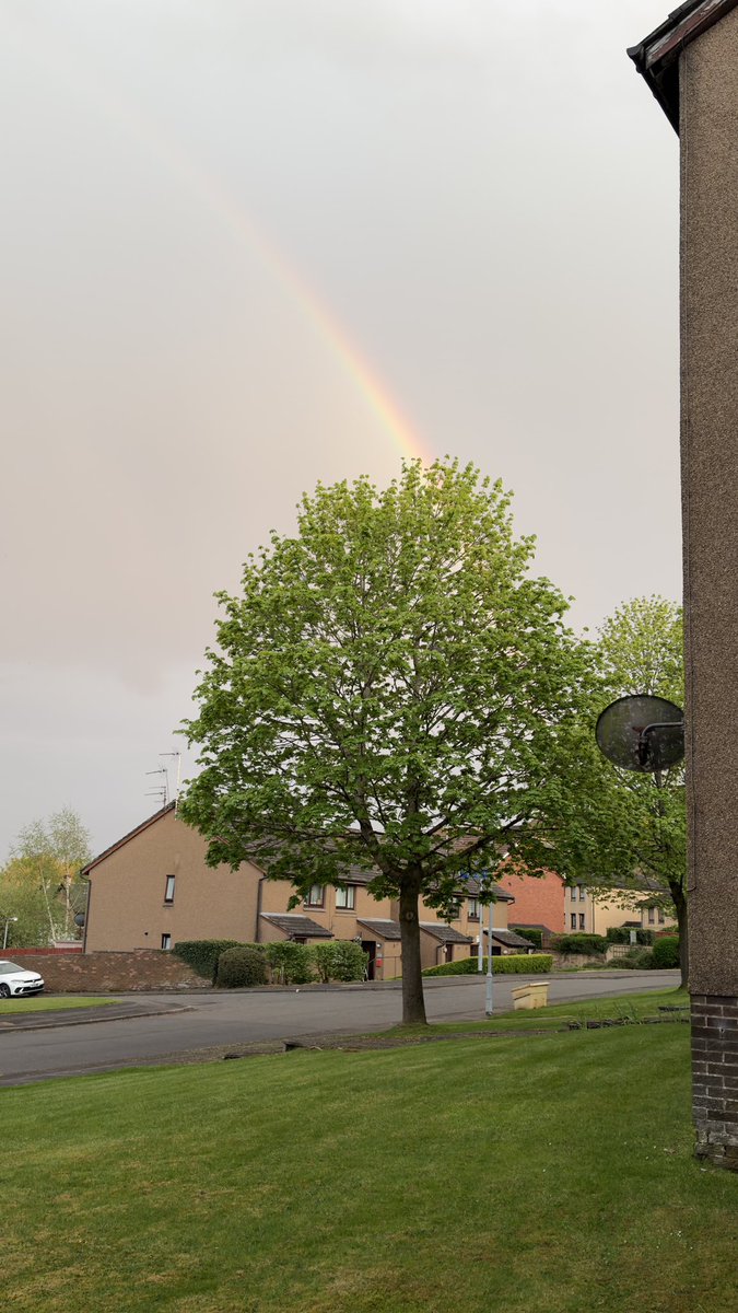 Chumaarh's tweet image. 🌈 After the rain comes the beauty! This rainbow hitting right over the tree feels like a gentle reminder from the universe. Grateful for these little moments of peace.💚
#Rainbow #NatureLovers #PositiveVibes #Inspiration #Hope #BeautifulSky #GratefulHeart #FutureInspiration