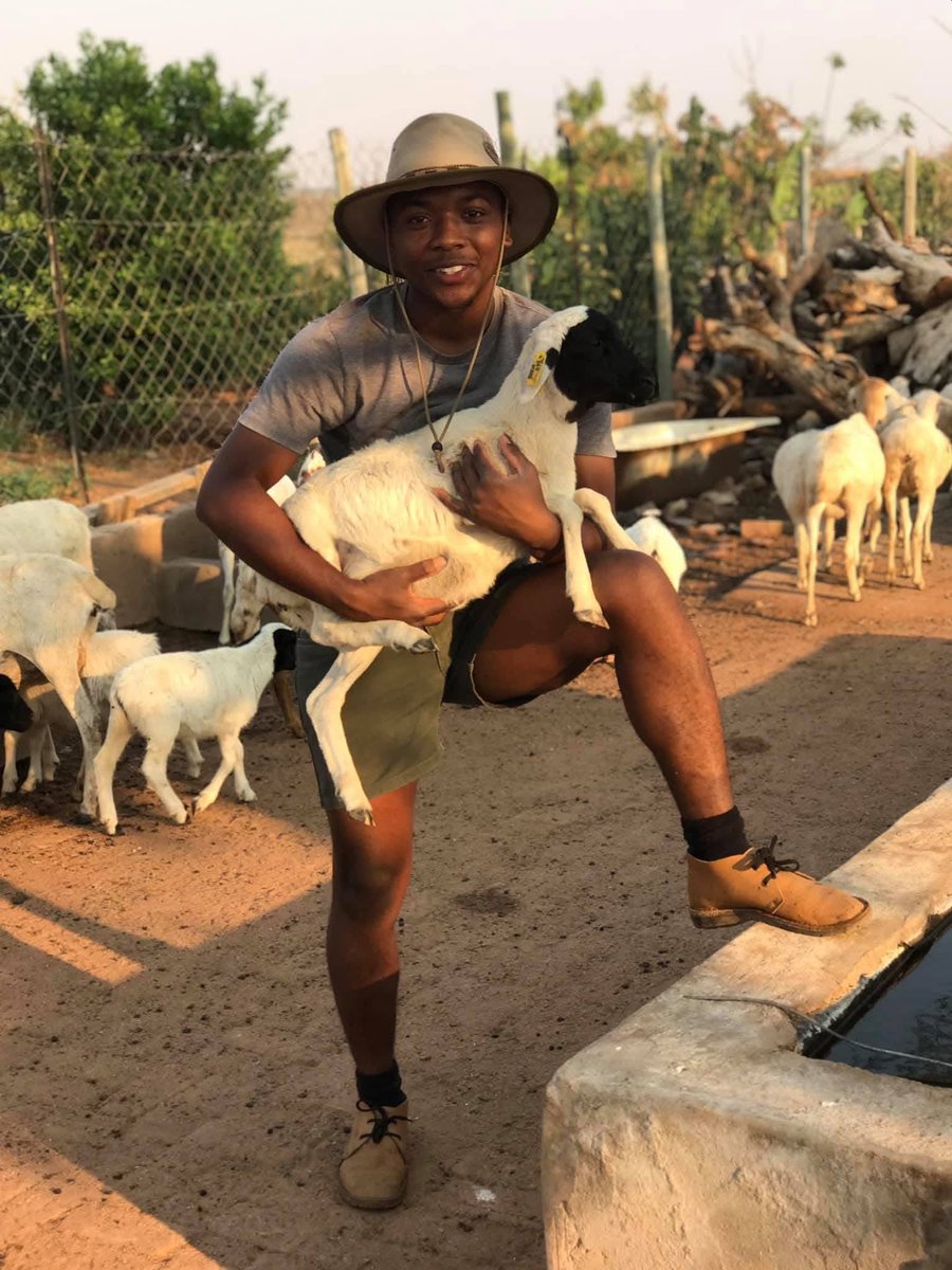 Katlego Maseng 🧠 tweet media
