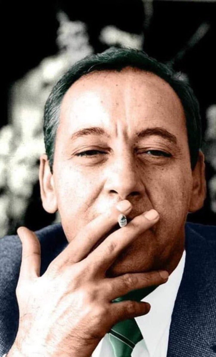 Nour El Hajj Ali tweet media