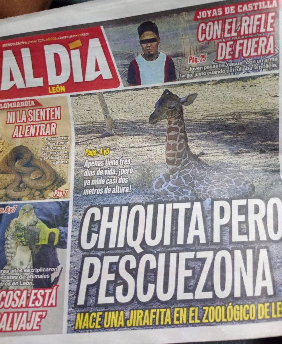 🇲🇽 México Mágico ✨ tweet media