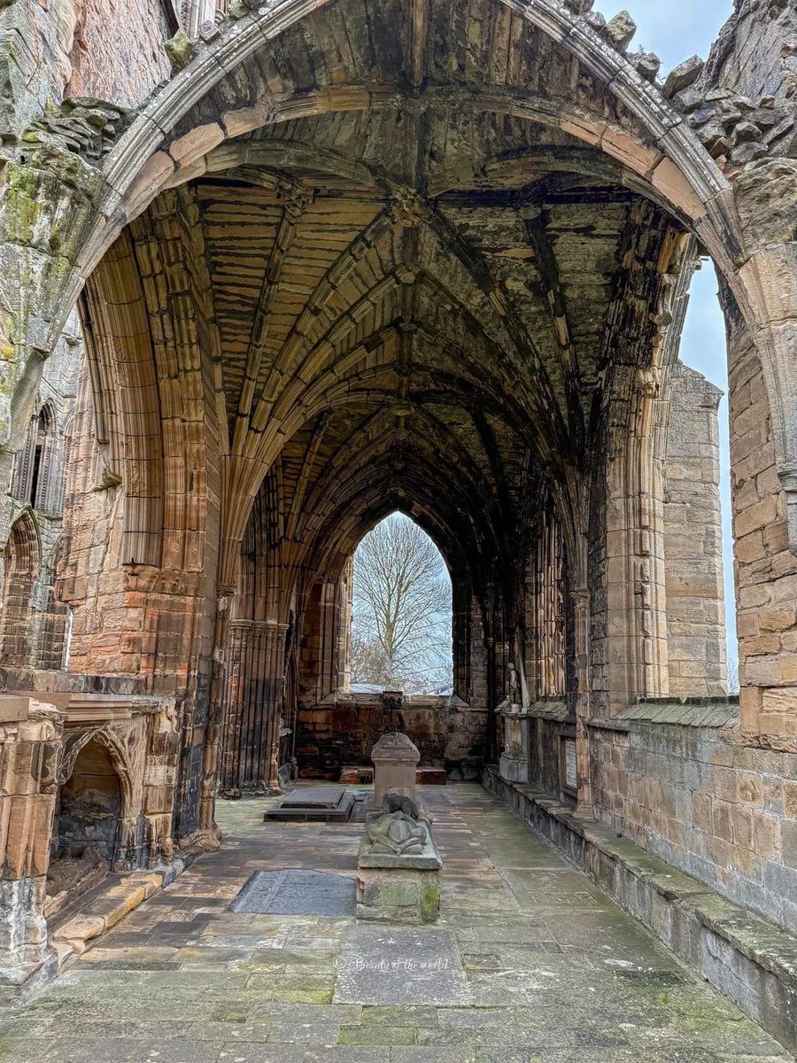 MiguelCalabria3's tweet image. Ruins, Elgin Cathedral, Moray #Scotland
Founded 1224

"my church was the particular ornament of the fatherland, the glory of the kingdom,the joy of strangers and incoming guests,the object of praise and exaltation in other kingdoms because of its decoration
(Earl of Buchan, 1380)