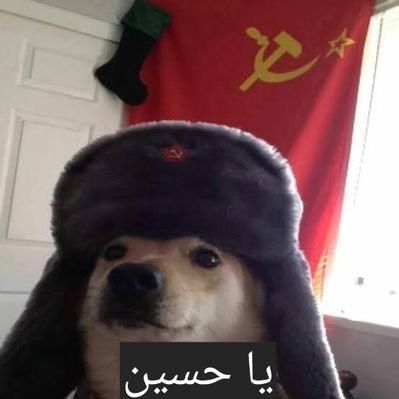 حتما سنعود tweet media