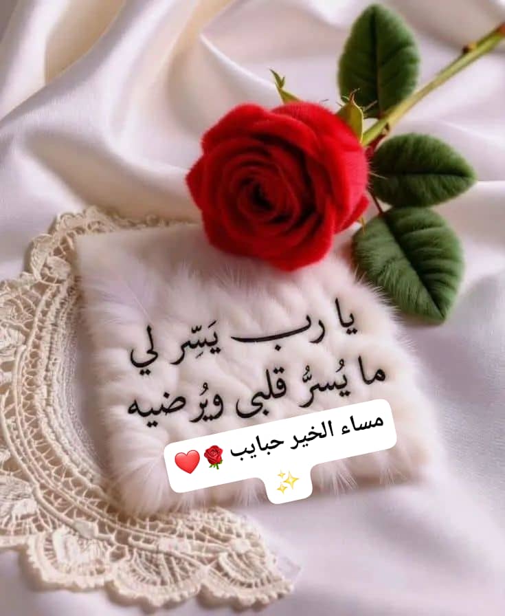 Abdo Mohammed tweet media