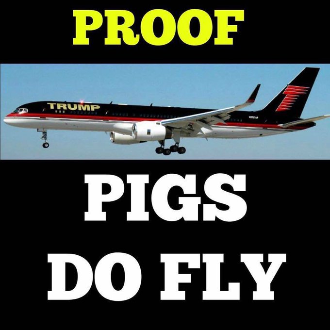Convictions & Leavenworth 4 Trump tweet media
