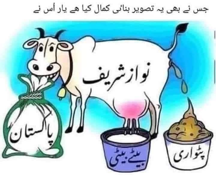 ADNAN KHAN tweet media