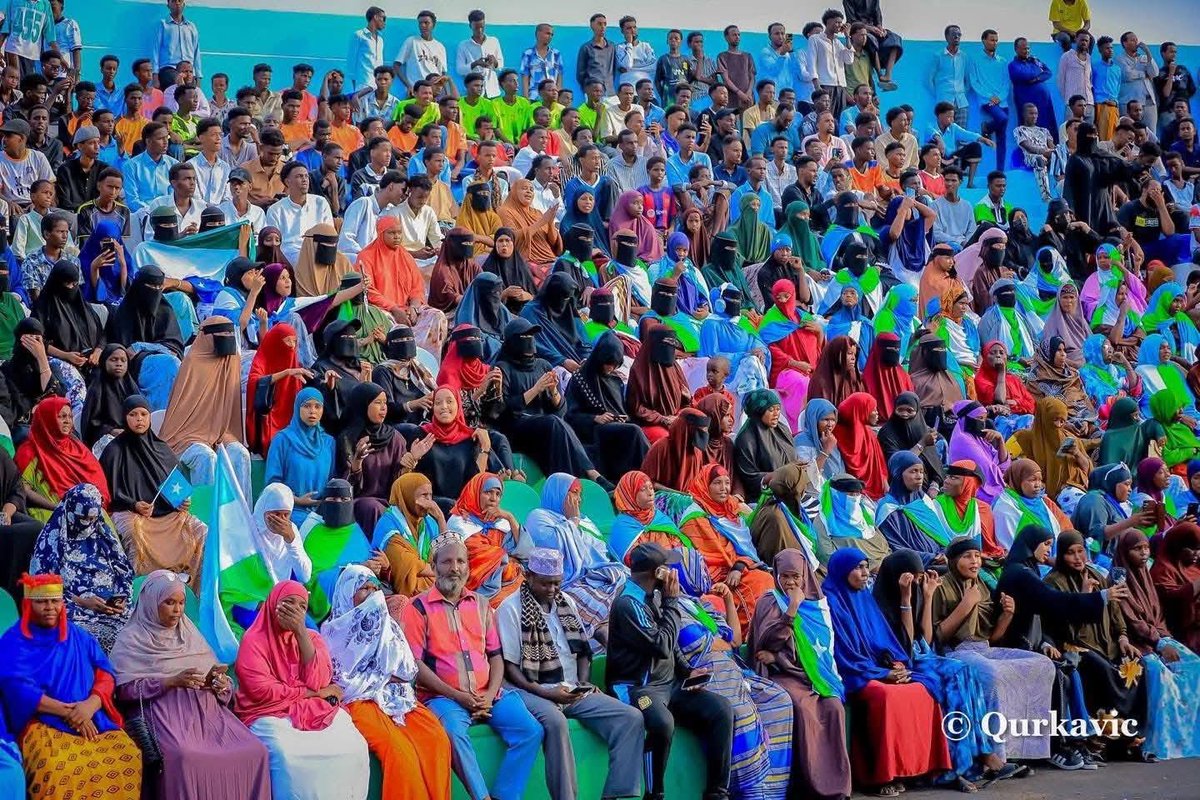 Mohamed Hassan tweet media