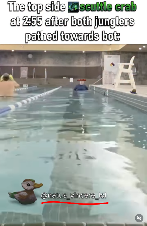 Elophobia's tweet photo. @1v9GG_ hey 1v9, i think u "accidentally" cut out the watermark before reposting our video👍 https://t.co/HiSUxVfosi
