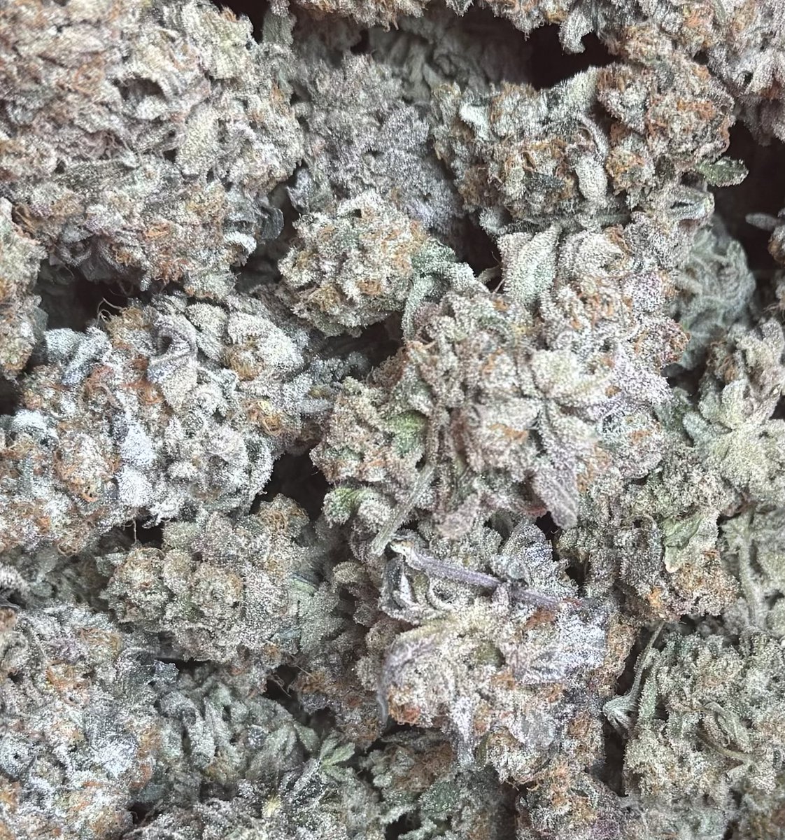 RealNiceGuyKen's tweet photo. Best case I can make for #GrowYourOwn https://t.co/LuMKnqb1lK
