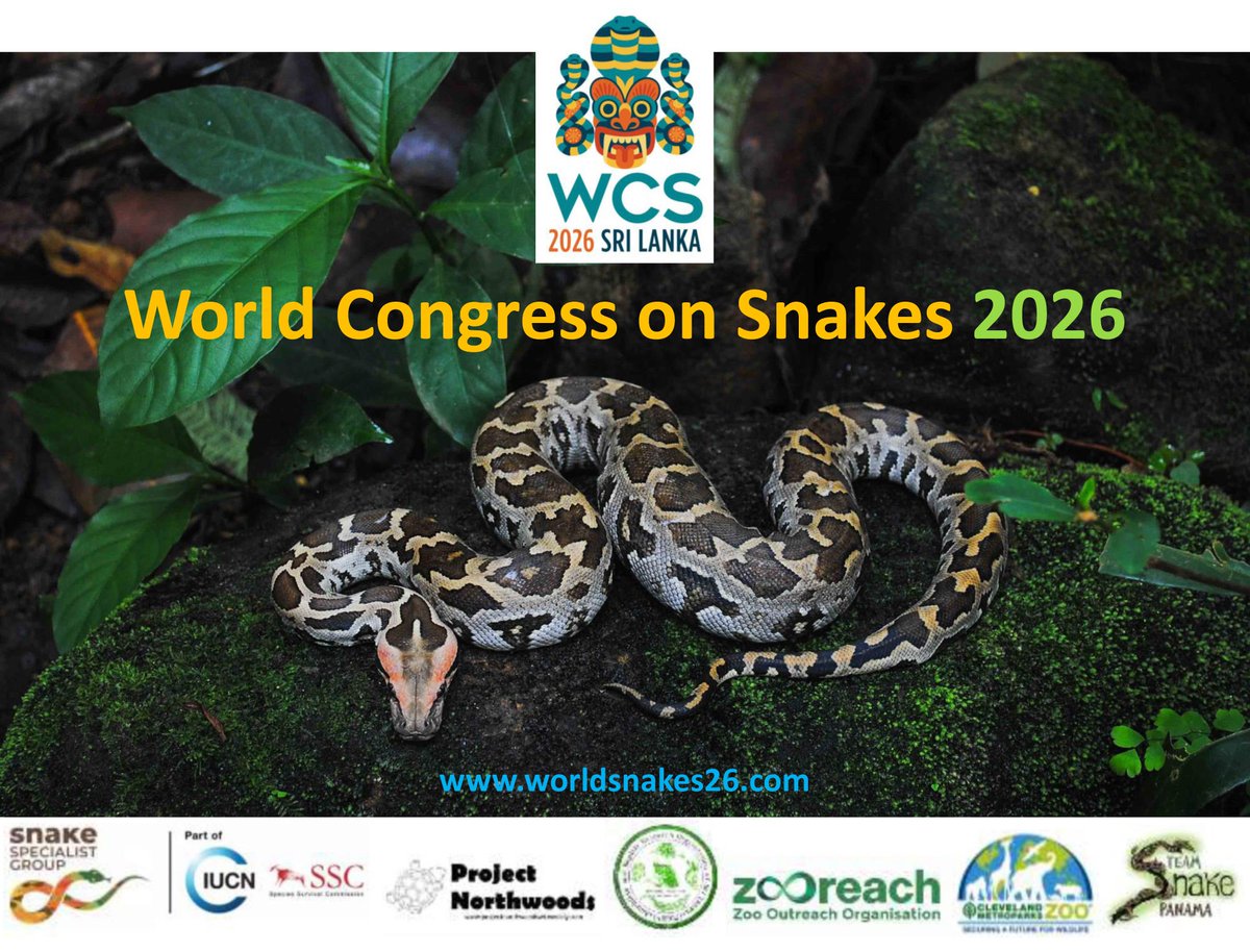 Suranjan_Karu's tweet photo. The First World Congress on Snakes 2026 ....!
Sri Lanka's unique combination of geography, climate, and geological history has created a biodiversity hotspot that is worth preserving for future generations.
https://t.co/tmQTxMJHgI https://t.co/qV7C7bmWGb