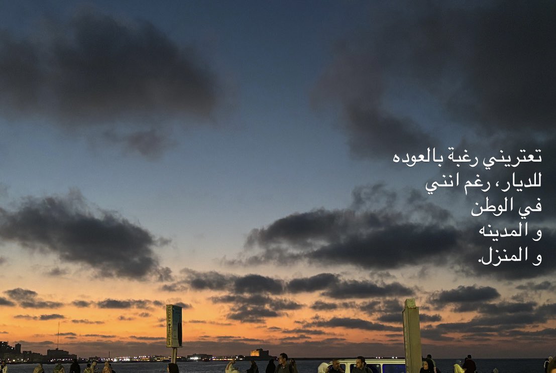 D' | 🇵🇸🇸🇩 tweet media