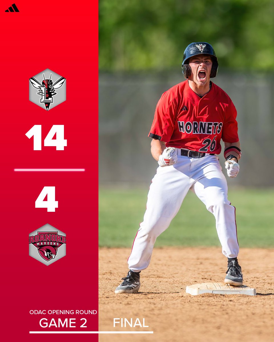 Lynchburg Baseball tweet media