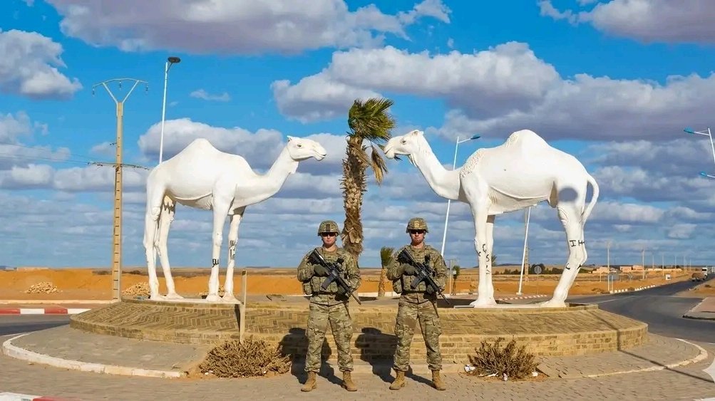 قناة المعرفة -- Military Dz tweet media