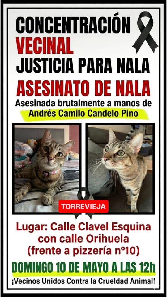 AmaregarDefensoraAnimalista, EcoFeminista tweet media