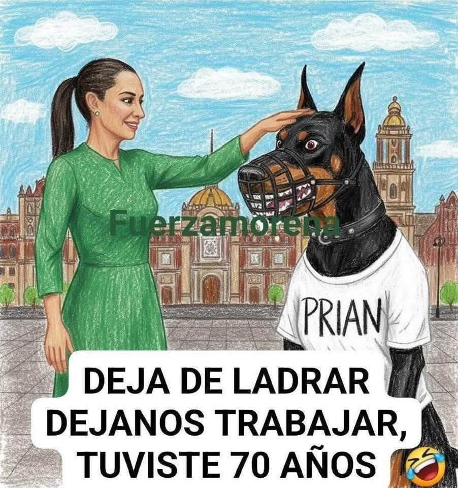 cabroncito 👽 tweet media