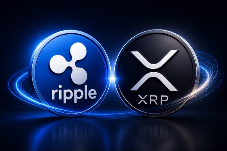 EYES OPEN XRP tweet media