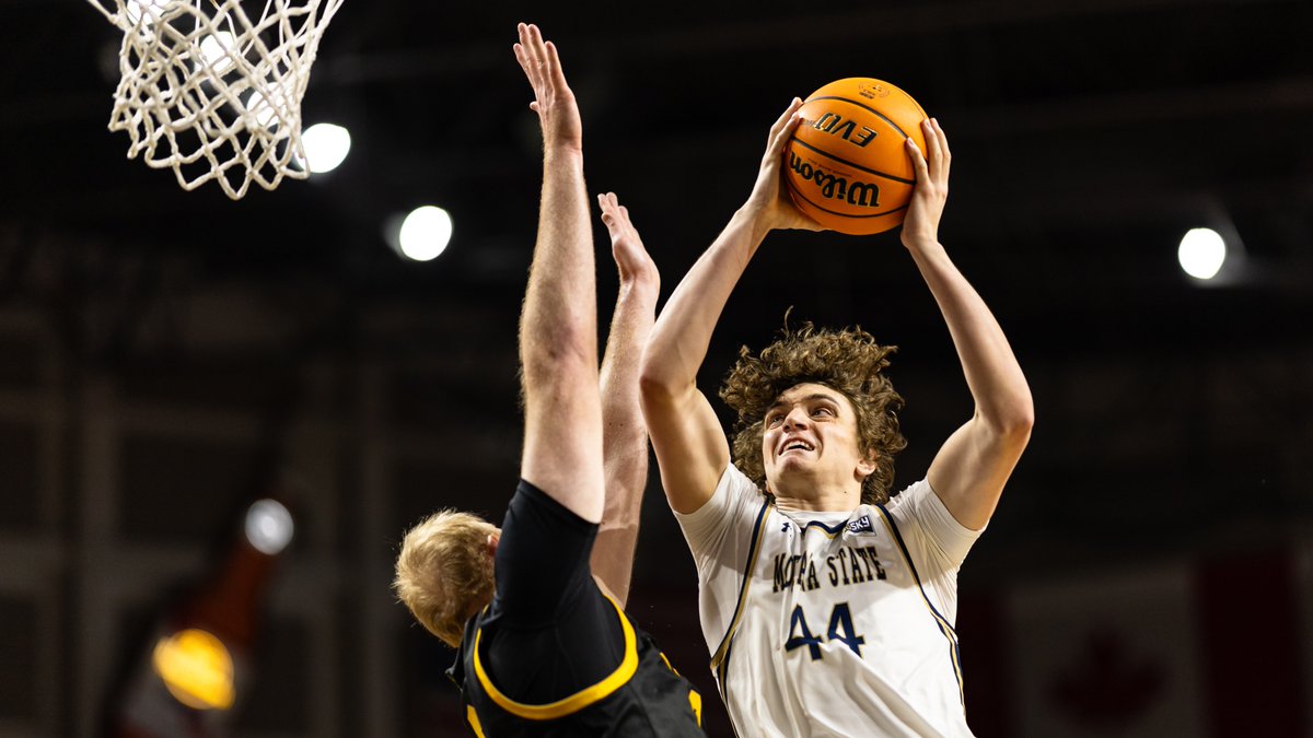 MSUBobcatsMBB's tweet image. Wishing Bobcat forward Jaden Steppe a happy birthday! 🎂

#Attitude | #GoCatsGo