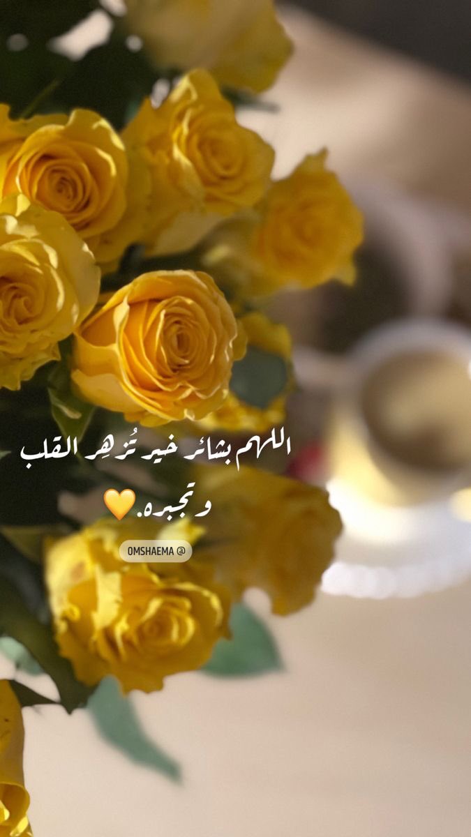 عائـشـة💙✨ tweet media