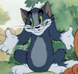 Gato lazarento tweet media