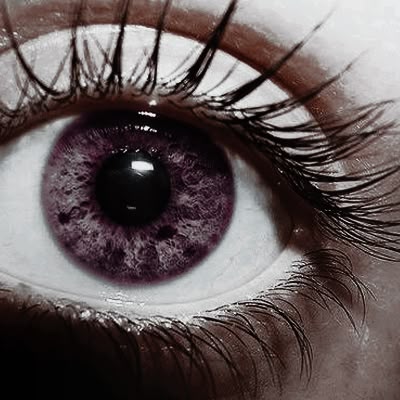 — 𝑳𝒊𝒍𝒊𝒕𝒉. tweet media