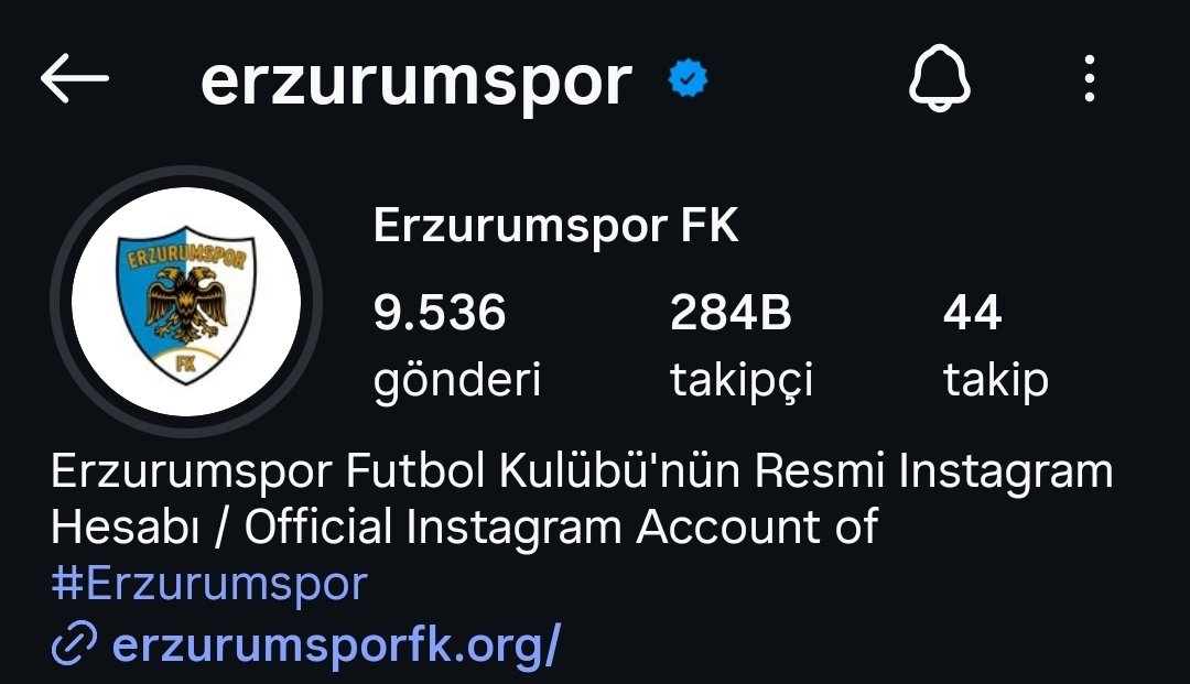 erzsevdası #Orbanic31 tweet media
