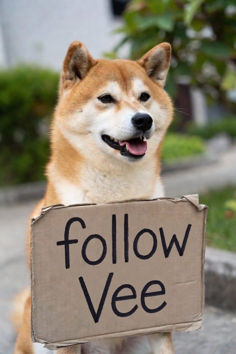 Wolf tweet media