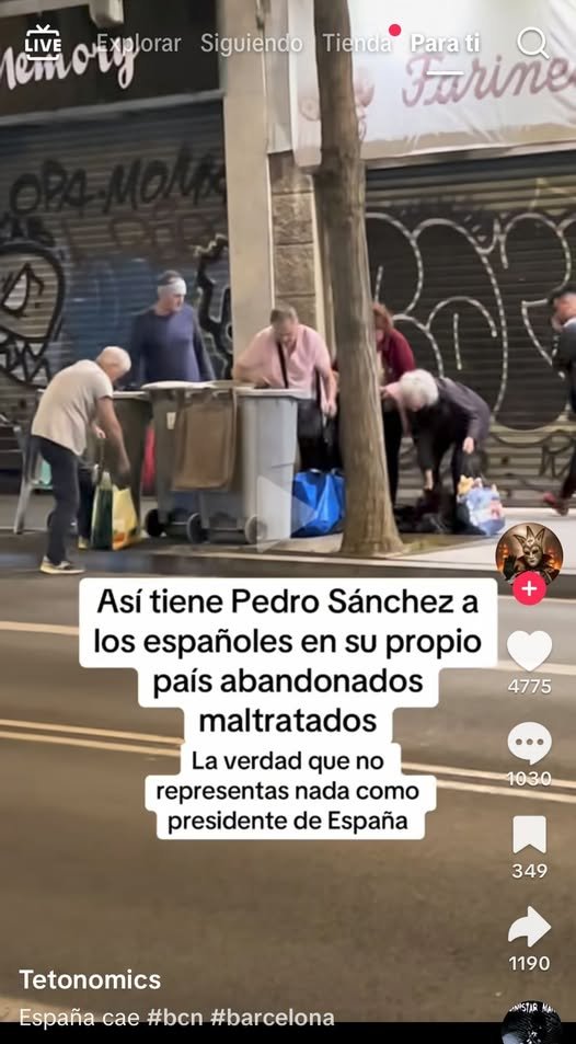 PEPE, en Español . INVICTUS MANEO.🇪🇸 🇮🇱 tweet media