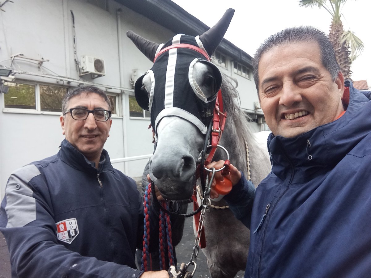 İ. Şafak Üçüncüoğlu tweet media