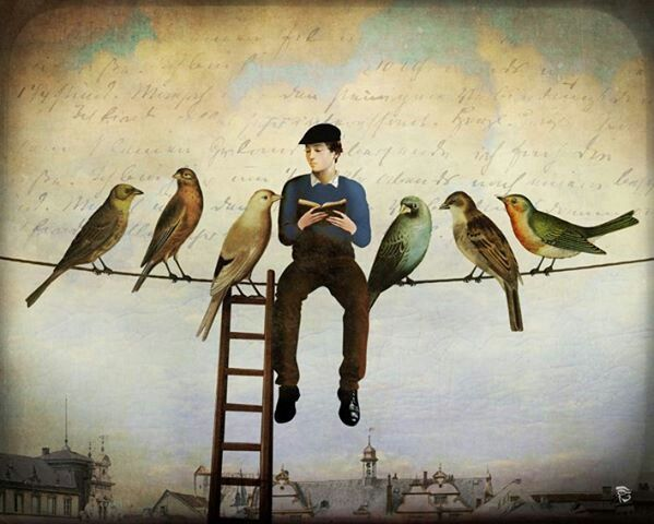 Damián Arasa tweet media