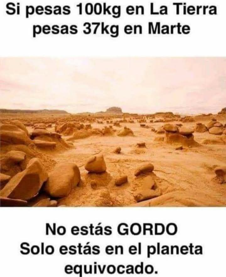 Más Ciencia tweet media