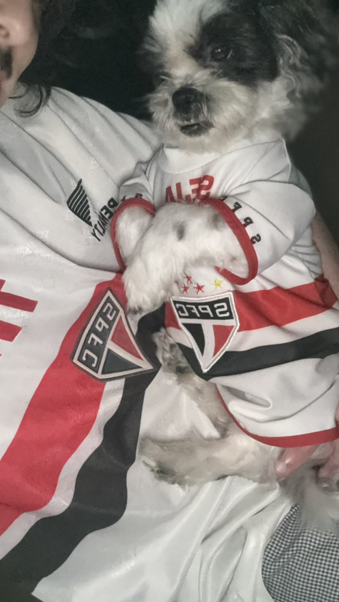 caioulh's tweet photo. @SaoPauloFC #sãopaulou https://t.co/sSVvm3wi6q